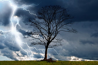 Dramatic lightning storm striking near a lone bare tree