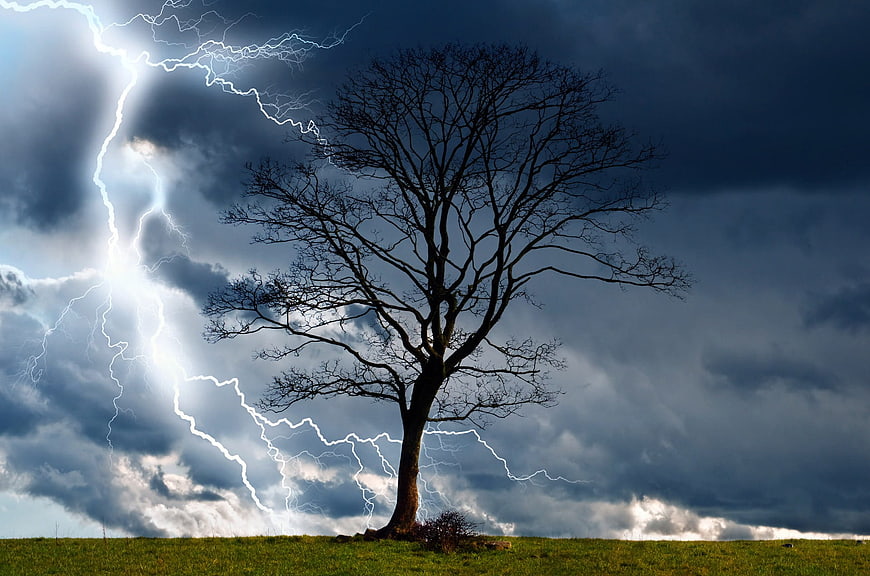 Dramatic lightning storm striking near a lone bare tree