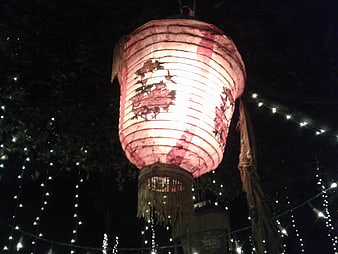 Illuminated Pink Paper Lantern with Traditional Asian Artwork at Night