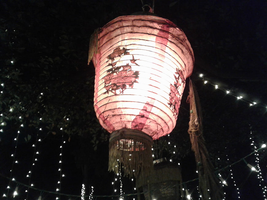 Illuminated Pink Paper Lantern with Traditional Asian Artwork at Night
