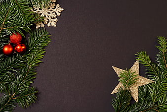 Christmas fir branches with red baubles and gold star on dark background