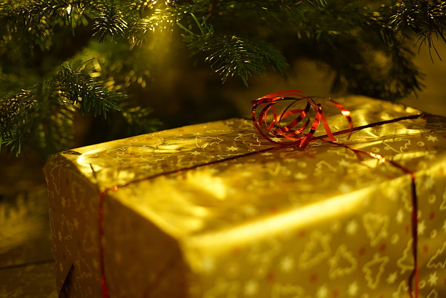 Golden Christmas Gift Box Under Pine Branches