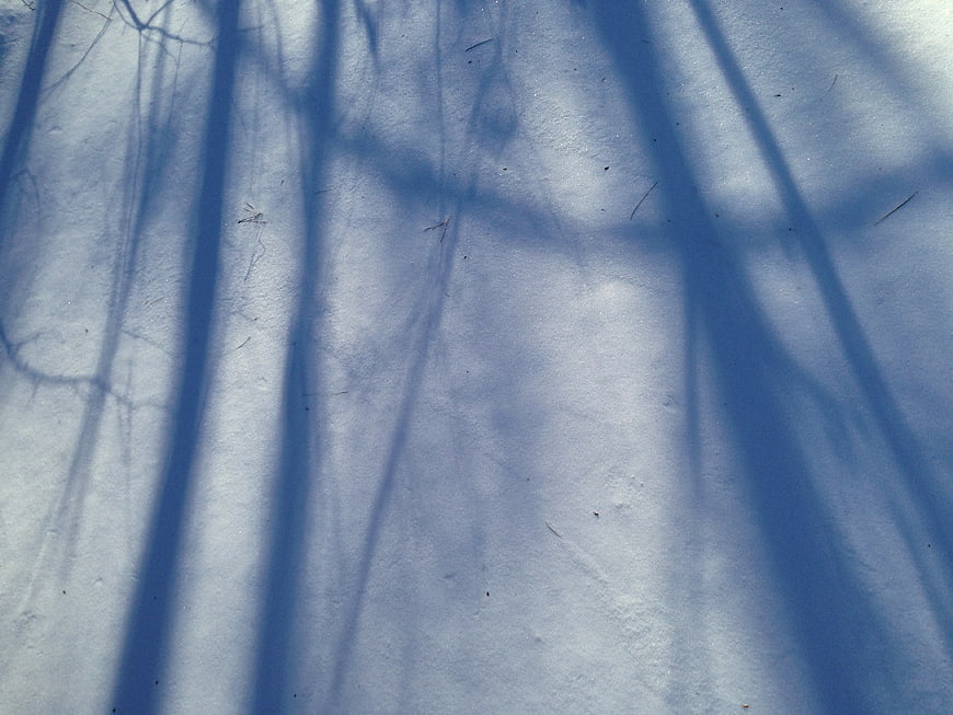 Abstract Blue Shadows of Branches on Snow Texture