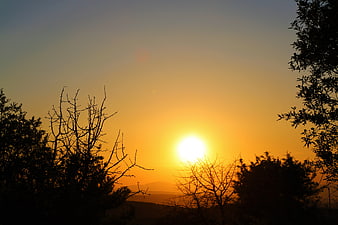 Golden sunset silhouette of trees and hills