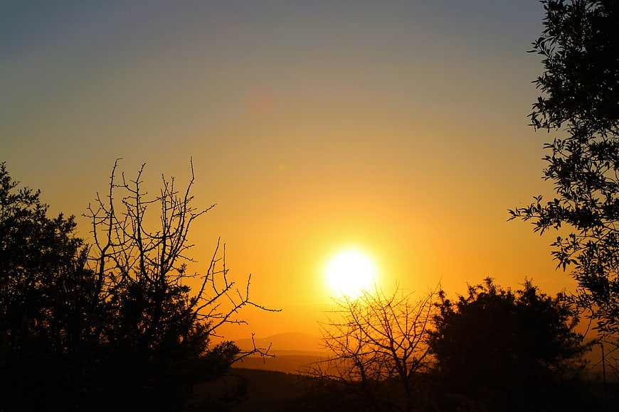 Golden sunset silhouette of trees and hills
