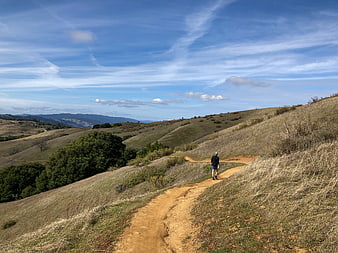Man hiking on dirt trail through golden hills