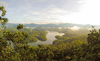 Misty river winding through lush green forest mountains