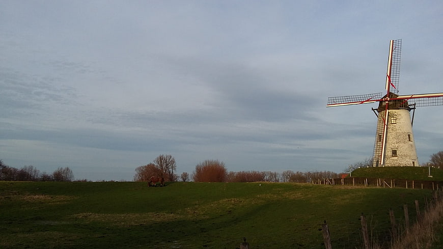 Traditional windmill on grassy hill with horse grazing