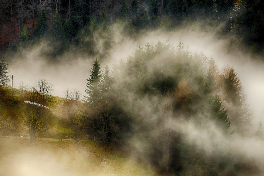 Misty forest landscape with rising fog and autumn trees