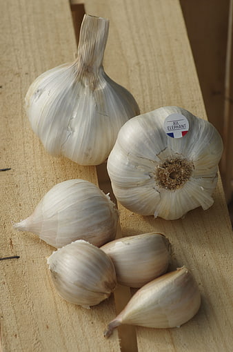 Fresh Elephant Garlic Bulbs and Cloves on Wooden Surface