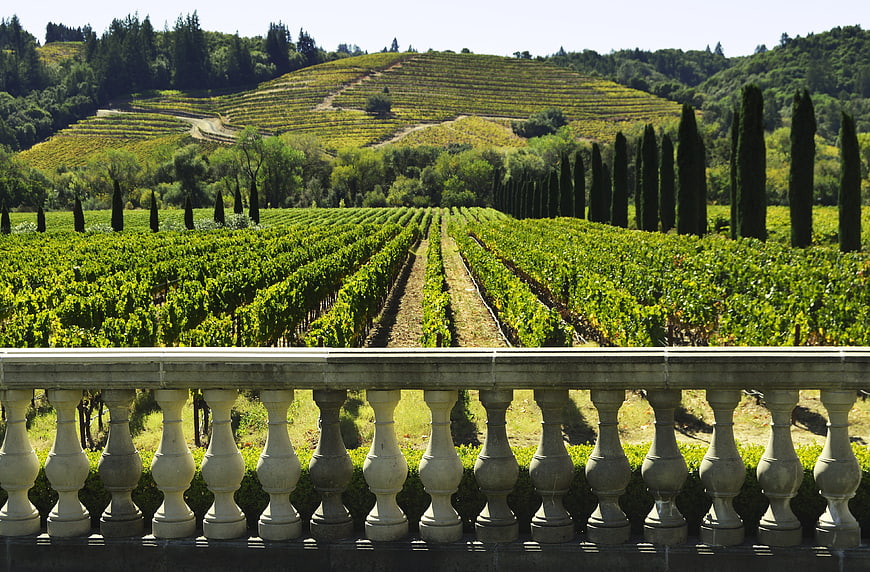 Scenic Sonoma Vineyard Landscape With Stone Balustrade And Rolling Hills