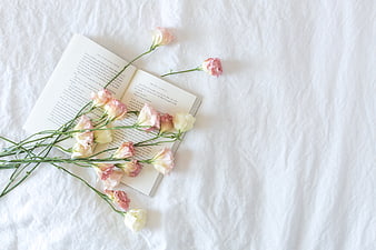 Flat lay of open book with pink and white flowers on white linen