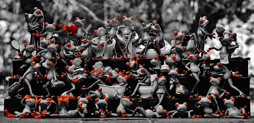 Colorful Frog Figurines on Stairs in Black and White