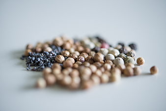 Assorted whole spices and seeds on white background