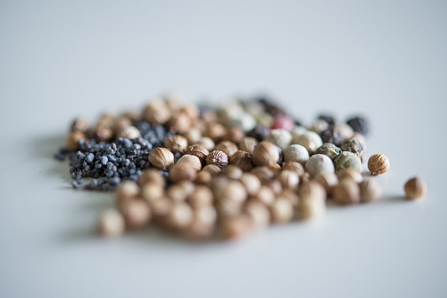 Assorted whole spices and seeds on white background