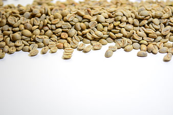 Green Coffee Beans Scattered On White Background