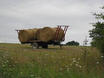 Trailer with round hay bales in rural field