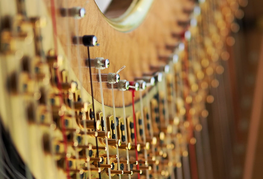 Close-up of harp strings and tuning pegs with shallow depth of field