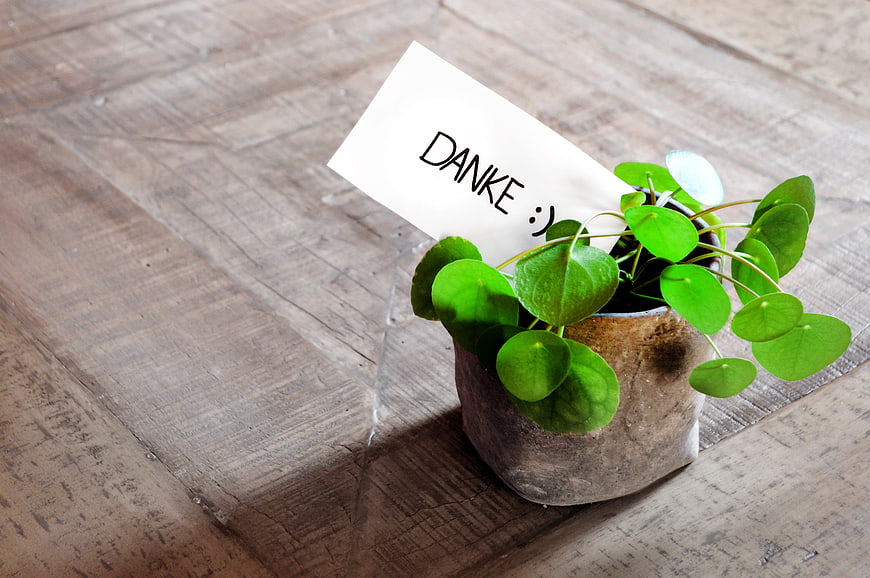 Small potted plant with handwritten Danke note on rustic wooden table