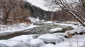 Snowy River Landscape with Frozen Banks and Bare Trees