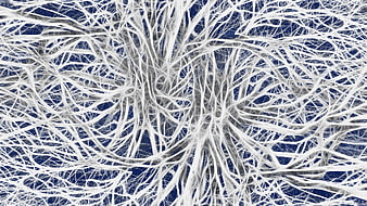 Abstract White Neural Network Structure On Dark Blue Background