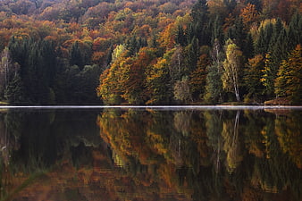 Serene Autumn Lake with Vibrant Forest Reflection