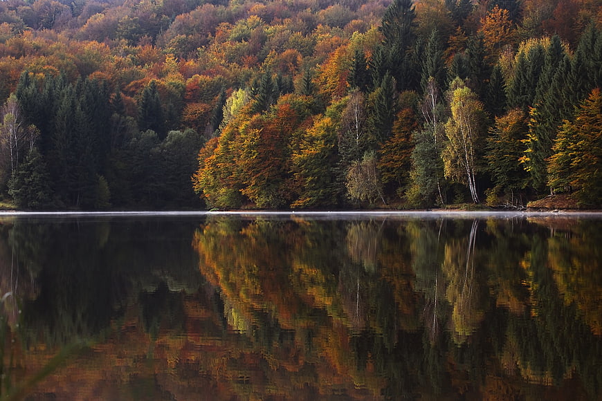 Serene Autumn Lake with Vibrant Forest Reflection