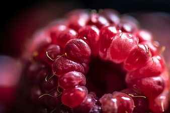 Macro Close-Up of Fresh Red Raspberry Fruit