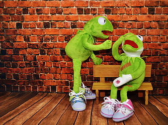 Two Kermit the Frog Plush Toys in Staged Conflict Scene