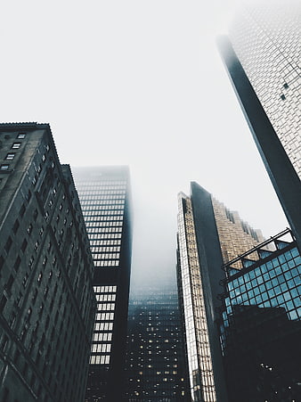 Low angle view of skyscrapers in foggy city