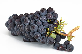 Fresh Purple Grapes with Water Droplets on White Background