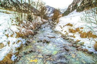 Snowy Mountain Stream in Winter Valley