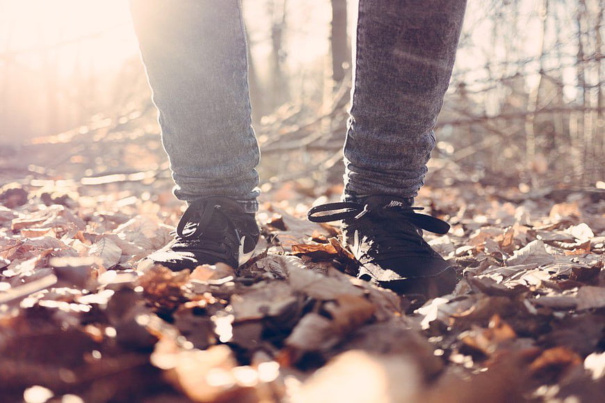 Person Walking on Autumn Leaves in Forest