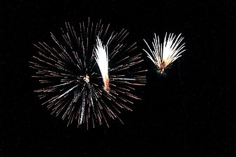 Fireworks exploding in the night sky with sparks