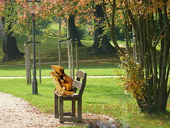 Golden Frog Prince Sculpture On Park Bench