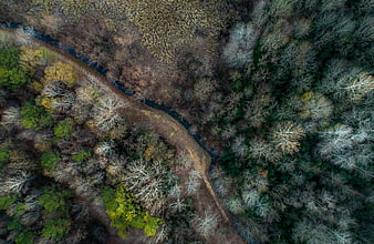 Aerial View of Winding River Through Autumn Forest