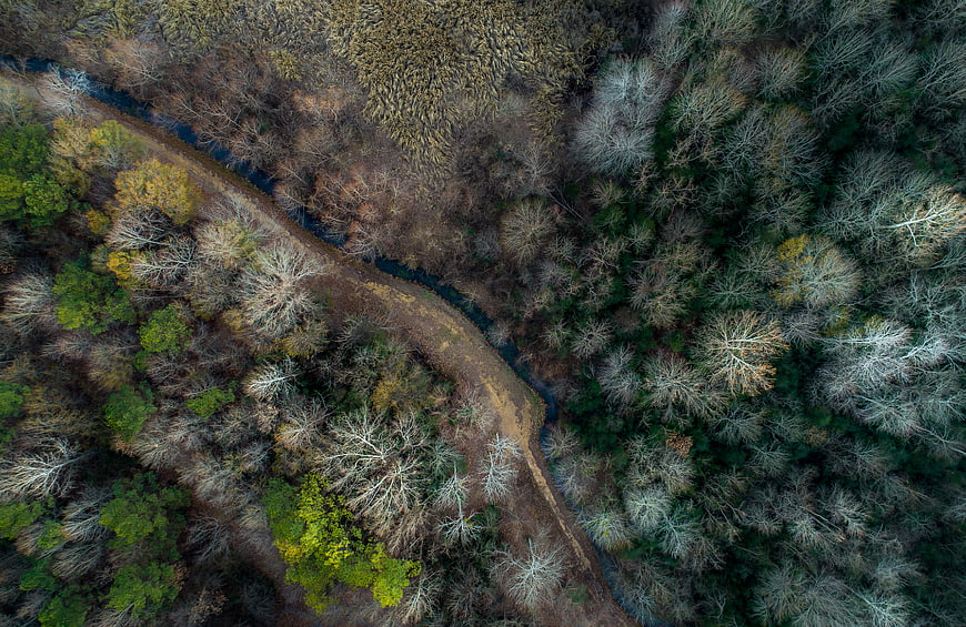 Aerial View of Winding River Through Autumn Forest