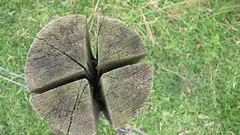Top View of Weathered Wooden Fence Post in Grass