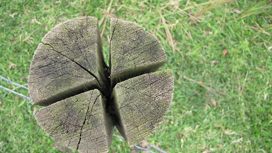 Top View of Weathered Wooden Fence Post in Grass