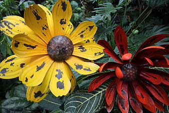 Rustic Metal Sunflower Sculptures in Tropical Garden