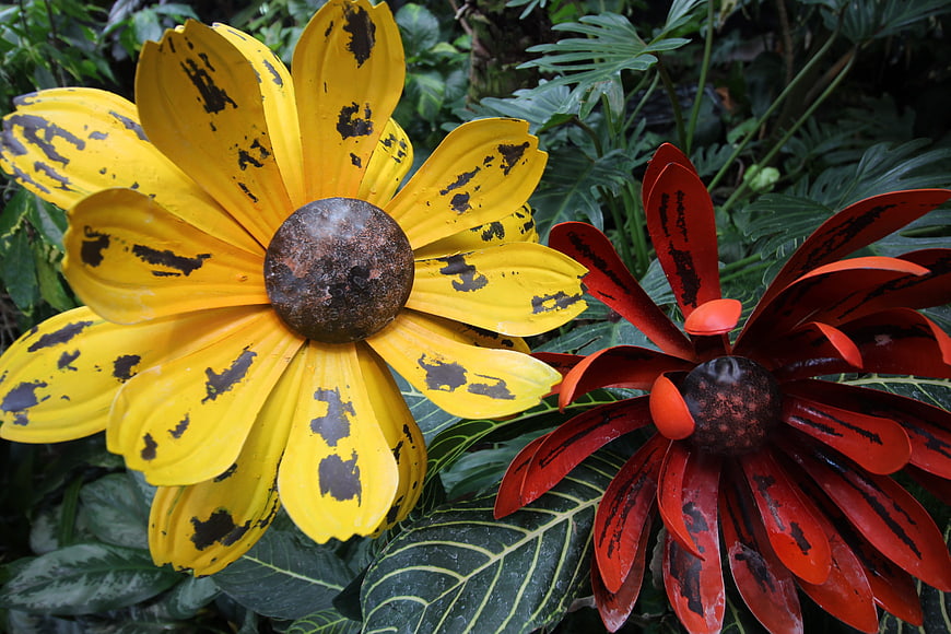 Rustic Metal Sunflower Sculptures in Tropical Garden