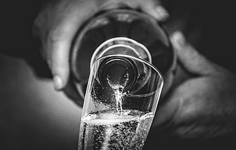 Black and white close-up of sparkling wine being poured into a glass