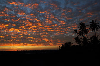 Dramatic Sunset Sky with Silhouetted Palm Trees