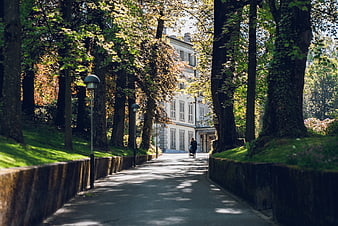 Woman pushing stroller down tree-lined path to white villa