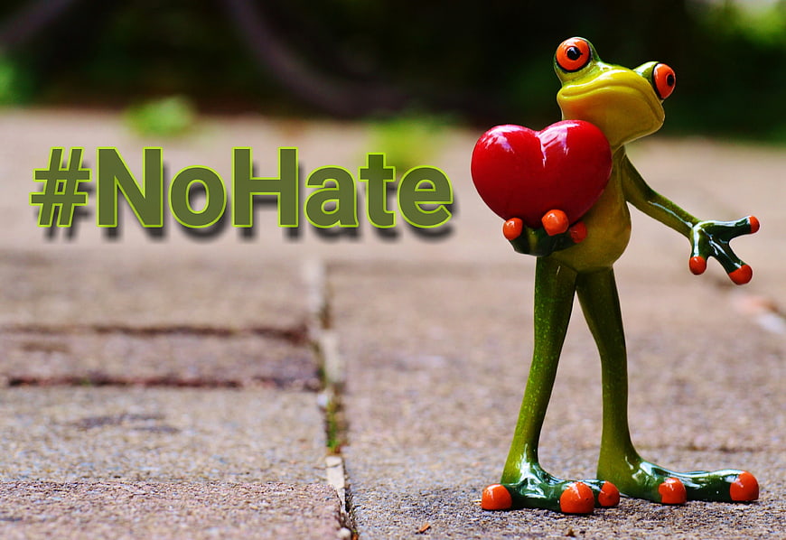 Green Frog Figurine Holding Red Heart With No Hate Hashtag