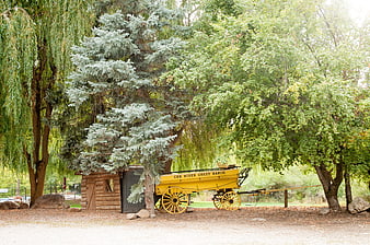Vintage yellow wagon parked under trees at Cub River Guest Ranch