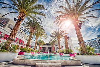 Luxury Hotel Pool with Palm Trees and Sun Flare