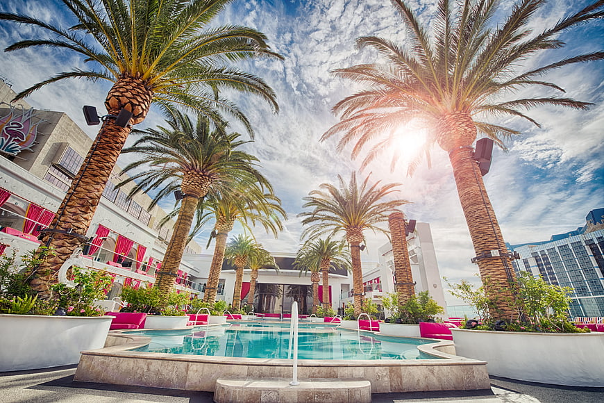 Luxury Hotel Pool with Palm Trees and Sun Flare