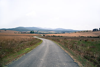 Winding asphalt road through dry Tuscan hills
