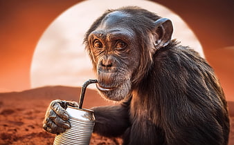 Chimpanzee drinking soda on Mars with giant planet background